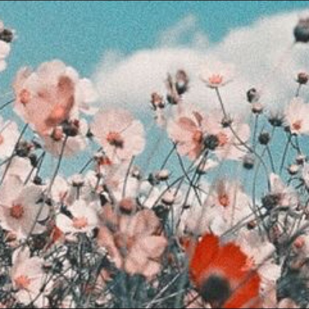 PSA!! [NOT FOR SALE] READ BELOW